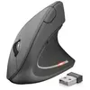 Image de Trust Souris Ergonomique Sans Fil Verto