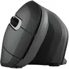 Image de Trust Souris Ergonomique Sans Fil Verro