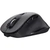 Image de Trust Fyda (Sans fil), Souris, Noir