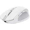 Image de Trust Ozaa Compact Wireless (Sans fil), Souris, Blanc