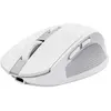 Image de Trust Souris Sans Fil 24933