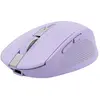 Image de Trust Souris Sans Fil 25384