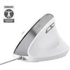 Image de Trust Bayo II (Filaire), Souris, Blanc