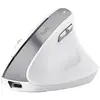 Image de Trust Souris Ergonomique Bayo Ii