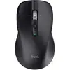Image de Trust Ferro Hyperwheel (Sans fil), Souris, Noir
