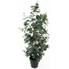 Image de Atmosphera, Plantes artificielles, Eucalyptus Leaf Large (78 cm)
