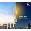 Image de Bailey Ampoule Filament Led St64 E27 Or Jour Nuit Capteur - 141867