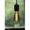 Image de Bailey Spirale Led Edison St64 E27 3.2W Dimmable Or - 145013