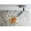 Image de Bailey Spiraled William G95 Ampoule Filament Led E27 3.2W Or - 145015