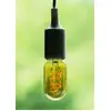 Image de Bailey Spirale De Base T45 E27 Dimmable LED 4W Or - 145359