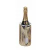 Image de Refroidisseur de bouteilles rapide professionnel diamètre 155 mm VacuVin