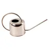 Image de Arrosoir - Inox - 1 L