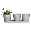 Image de Set de 3 pots de fleurs avec soucoupe en zinc