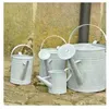 Image de Arrosoir en zinc patiné - 1,5 l