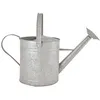 Image de Arrosoir en zinc patiné Hove 3.5 litres