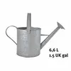 Image de Arrosoir - 6,5l - zinc