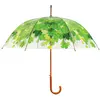 Image de Parapluie Transparent Feuilles de Printemps