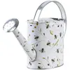 Image de Arrosoir de Jardin avec Motif d'Abeilles