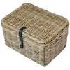 Image de Basil Panier Avant Dax L One Size