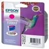 Image de EPSON Cartouche d'encre T0803 Magenta - Colibri (C13T08034011)