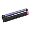 Image de Epson - Magenta - photoconducteur - pour WorkForce AL-C500DHN, AL-C500DN, AL-C500DTN, AL-C500DXN