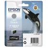Image de EPSON Cartouche d'encre T7607 Noir clair - Orque (C13T76074010)