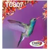 Image de Epson, Cartouche d'impression, T0807 (C, CF, LC, LM, M, Y)