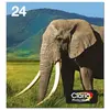 Image de Epson, Cartouche d'impression, Carton à encre/24 Elephant BK/CY/MG/YL/LCY/LMG (C, CF, LC, LM, M, Y)