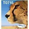 Image de Epson, Cartouche d'impression, T071 EasyMail (C, CF, M, Y)