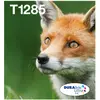 Image de Epson, Cartouche d'impression, EasyMail MP Fox DURABrite Multipack Ultra CMYK (C, CF, M, Y)