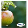 Image de Epson, Cartouche d'impression, Encre/T129 EasyMail multipack (C, CF, M, Y)