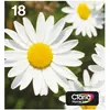 Image de Epson, Cartouche d'impression, 18 Multipack (C, CF, M, Y)