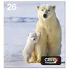 Image de Epson, Cartouche d'impression, MULTIPACK 4-COLOURS 26 CLARIA (C, CF, M, Y)
