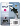 Image de Epson T7603 - 25.9 ml - Magenta vif - original - blister - cartouche d'encre - pour SureColor SC-P600