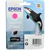 Image de Epson, Cartouche d'impression, T7603, Ultra Chrome HD (M)