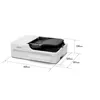 Image de Epson WorkForce DS-1730 - Scanner de documents - Recto-verso - 215.9 x 3048 mm - 1200 dpi x 1200 dpi - jusqu'à 30 ppm (mono) / jusqu'à 30 ppm (couleur) - Chargeur automatique de documents (60 feuilles) - jusqu'à 3000 pages par jour - USB 2.0
