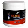 Image de Born Poudre De Créatine Saveur Neutre 300g One Size
