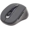 Image de Gembird Riano (Sans fil), Souris, Noir