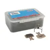Image de ELVEDES 10 paires plaquettes de frein métaliques pour Formula Cura / Mega /One / R1 / RX