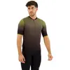 Image de Shimano Maillot à Manches Courtes Evolve Avventura L