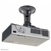 Image de Neomounts BEAMER-C50 - Support - pleine action - pour projecteur - noir - montable au plafond