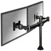Image de Newstar Newstar FPMA-D960DG support d'écran plat pour bureau