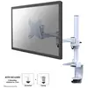 Image de Neomounts FPMA-D1330WHITE Support de bureau pour moniteur arctique (Tables, 24", 9 kg), Support de moniteur, Blanc