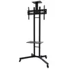Image de Newstar Support De Sol Pour écran Plat Plasma-m1700e 32-55''