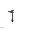 Image de Neomounts DS60-600BL1 - Kit de montage (bras pour moniteur, serre-joint) - pleine action - pour moniteur - acier - noir - Taille d'écran : 10"-32" - montrable sur bureau