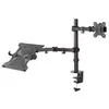 Image de Newstar Support De Moniteur Fpma-d550notebo Avec Deux Bras