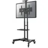 Image de Neomounts NM-M1700 (50 kg, 32" - 75"), Pied TV, Noir