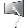 Image de Neomounts Montage sur table (Tables, 49", 18 kg), Support de moniteur, Blanc