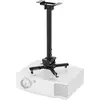 Image de Neomounts Projector Ceiling Mount (Plafond), Support pour projecteur, Noir