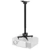 Image de Newstar Support De Projecteur De Plafond Cl25-550bl1 74.5-115 Cm